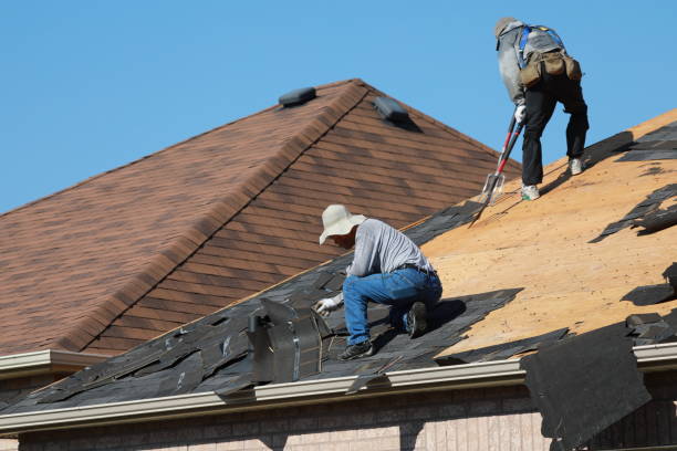 Best Asphalt Shingle Roofing  in Sarcoxie, MO